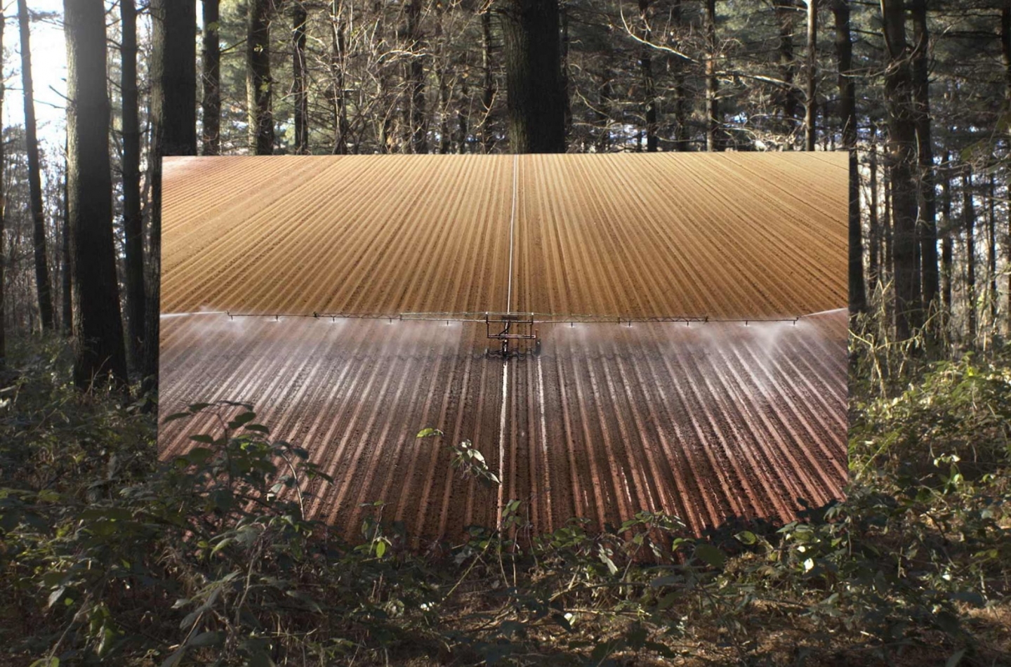 Cambio/Design in Flux