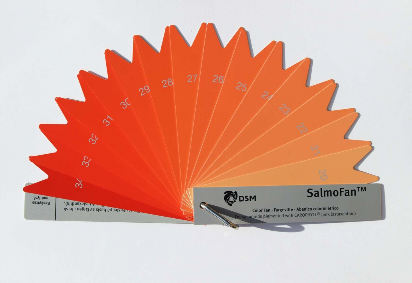 Salmon: A Red Herring